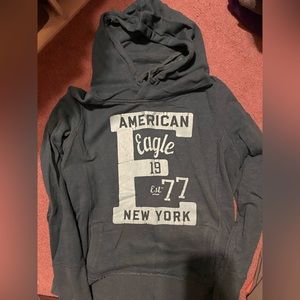 Teal American Eagle Hoodie